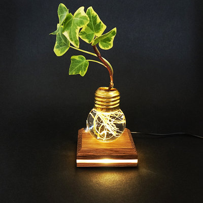 役割を終えた電球を再利用した、植物の根を幻想的に照らす花器「re'light(リライト)」が美しい