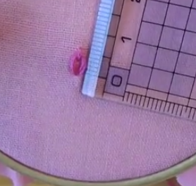 annasのＱ＆Ａ～レゼーデージーステッチ～アンナスの動画でわかる刺繍教室