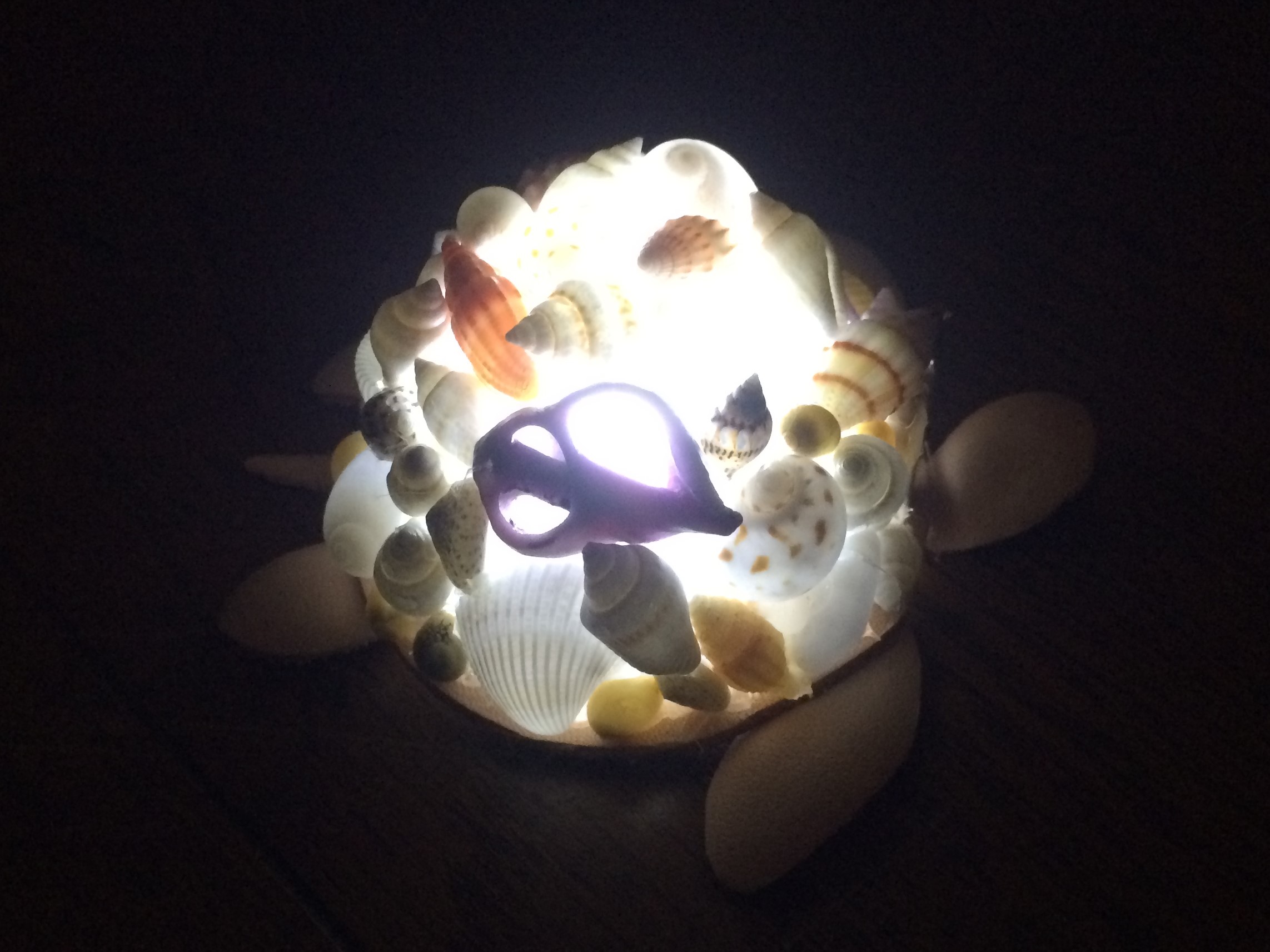 貝殻で作るカメさんの甲羅はひとつひとつが違う配置