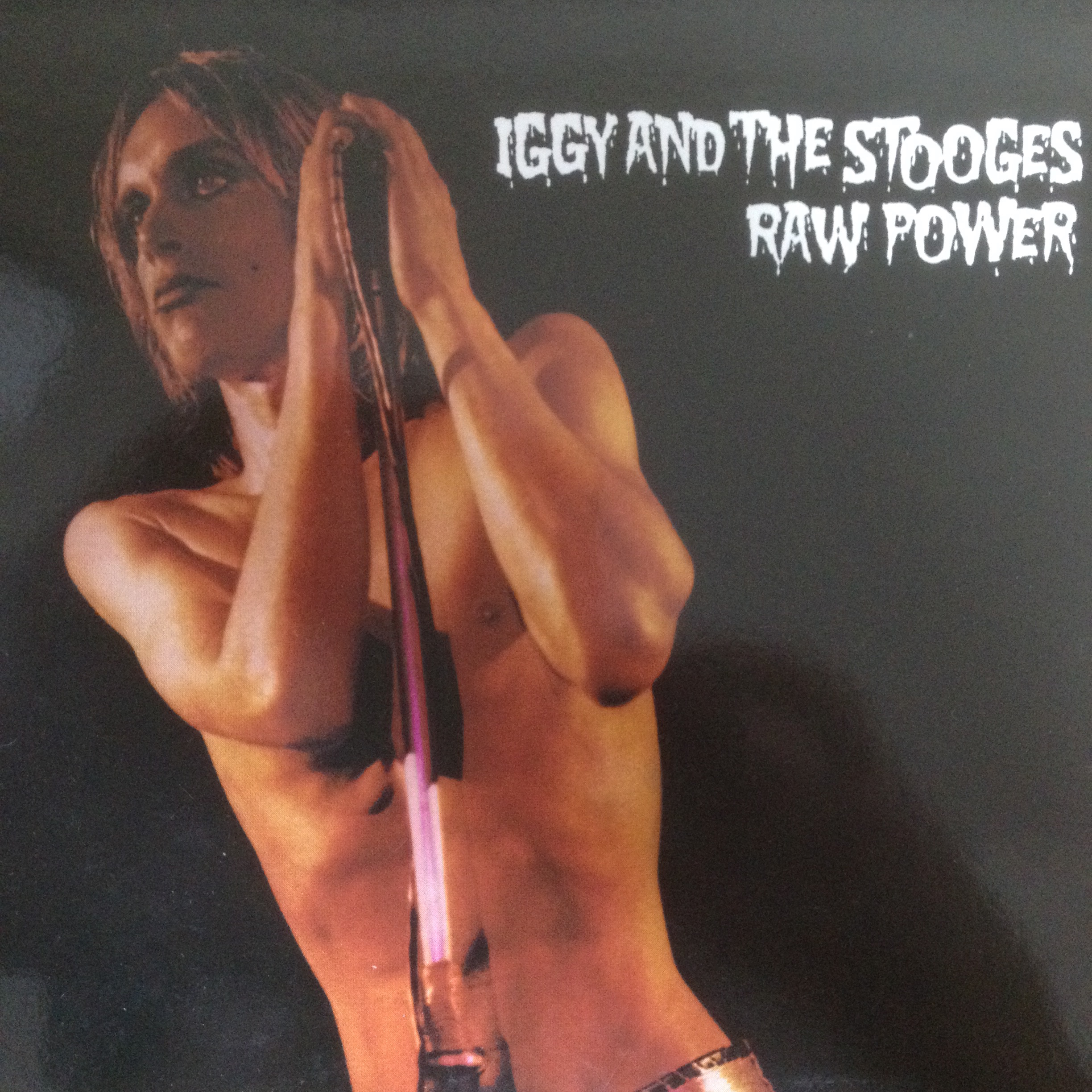 IGGY POP AND THE STOOGES 「Search Destroy」「Gimme Da