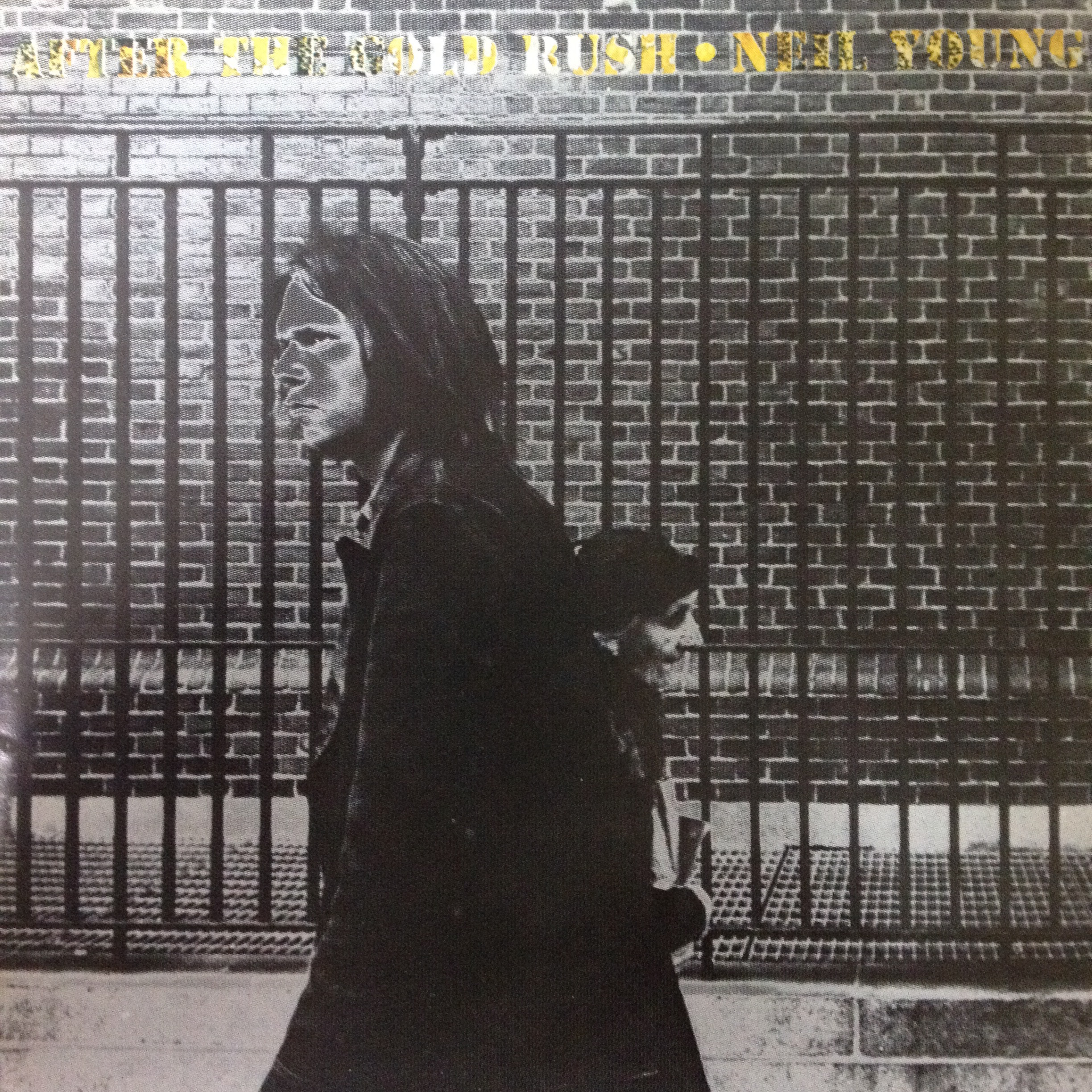 NEIL YOUNG 「AFTER THE GOLD RUSH 」「SOUTHERN MAN」
