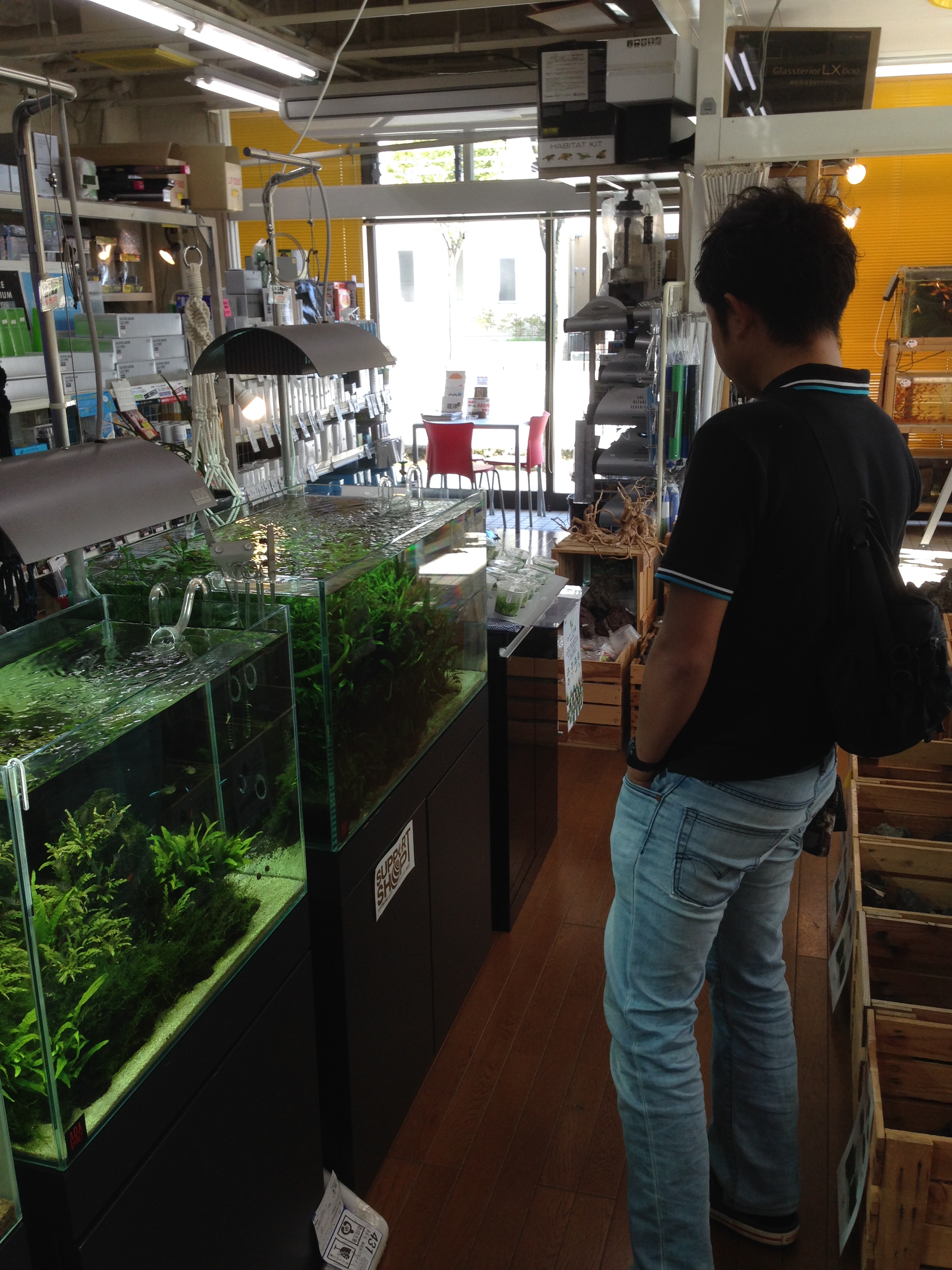 今日のシャチョー