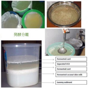 伝統的な発酵分離法