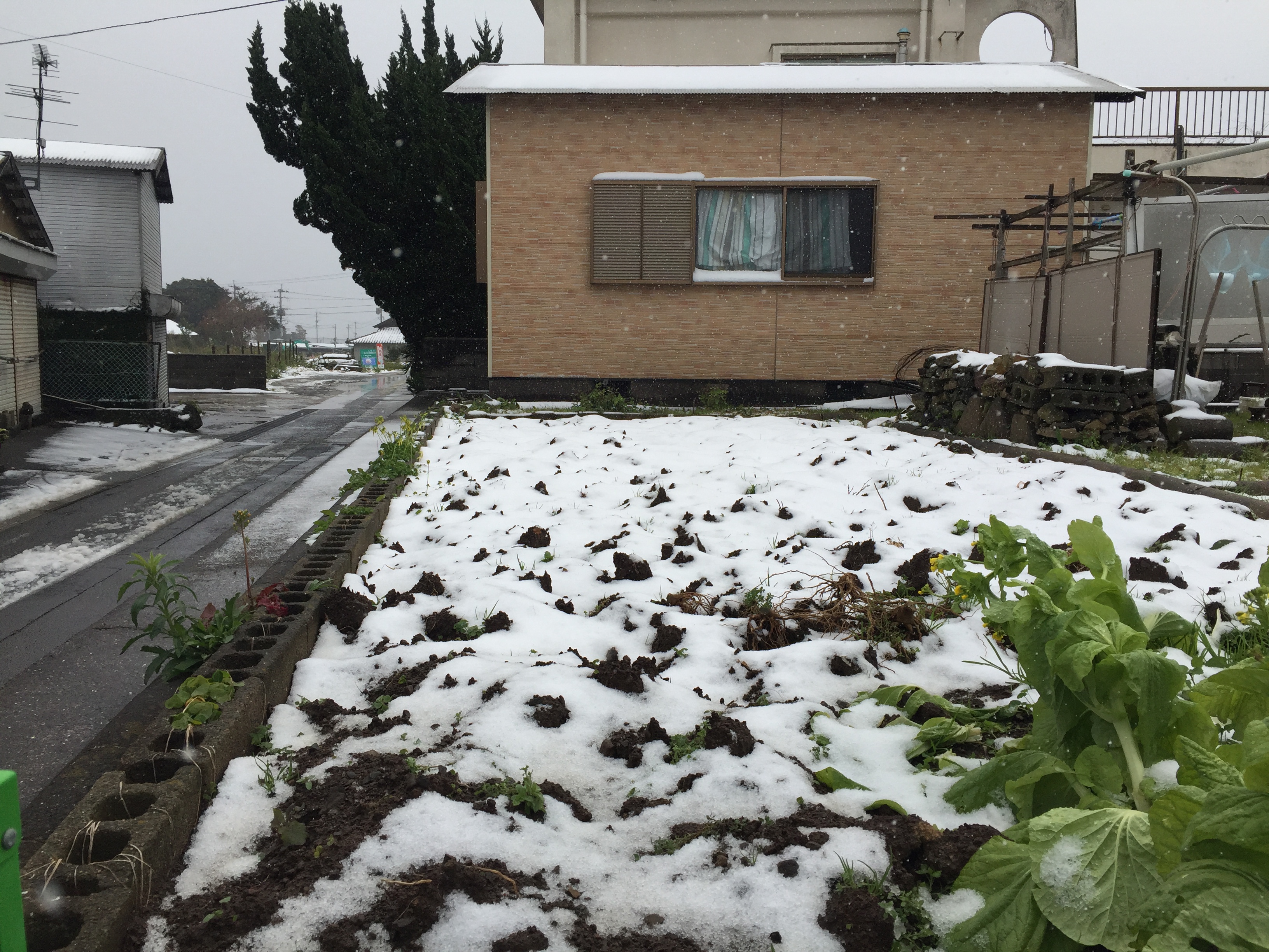 五島列島　大雪ですぅ