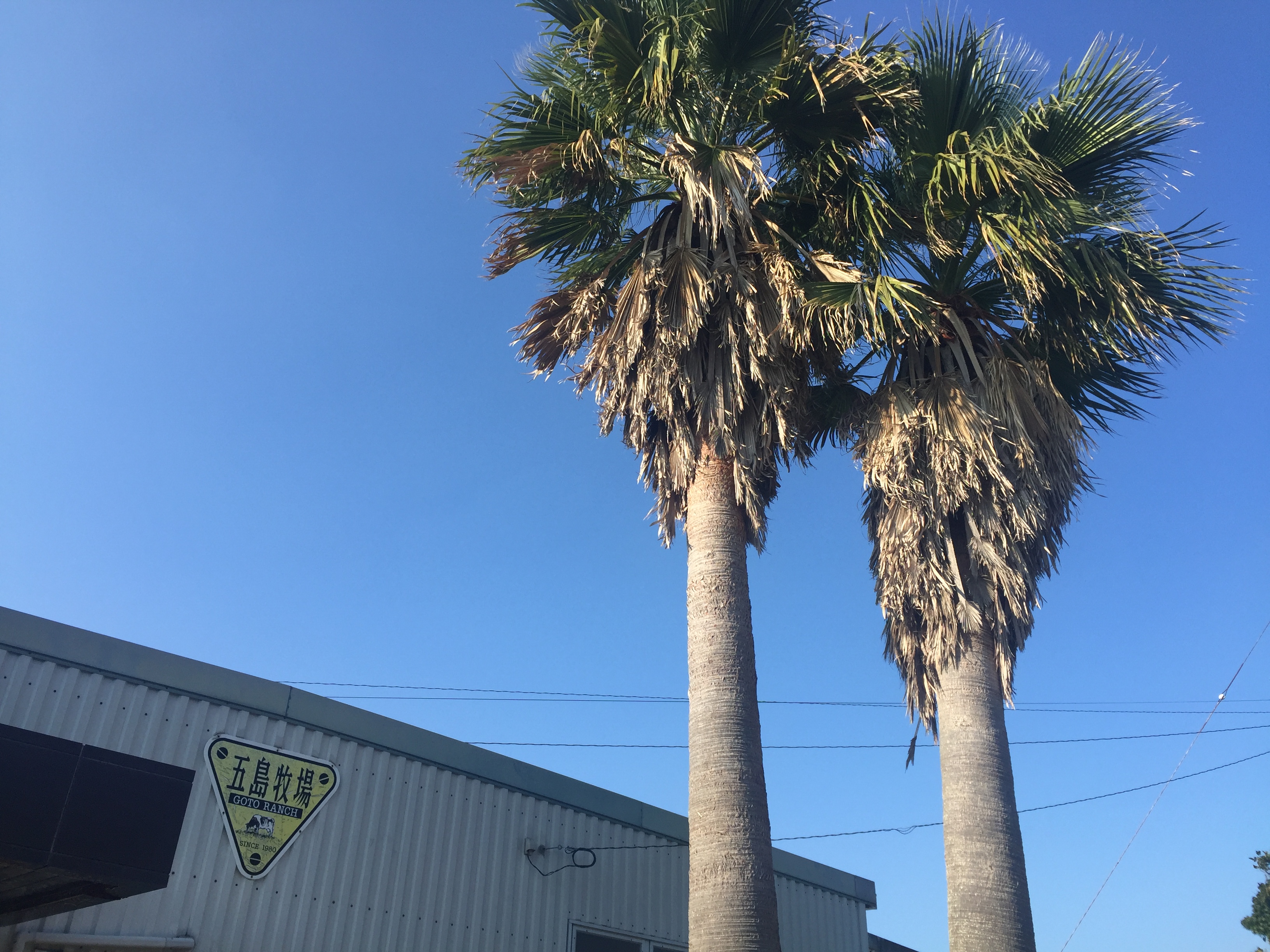 五島列島　五島脱出！