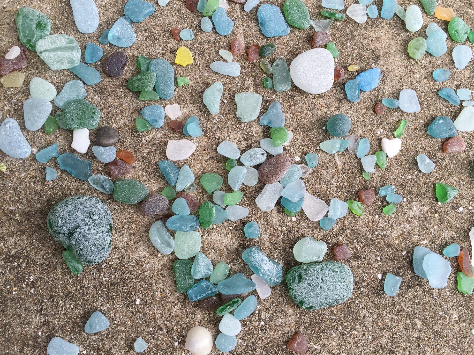 五島列島　五島の海での拾い物