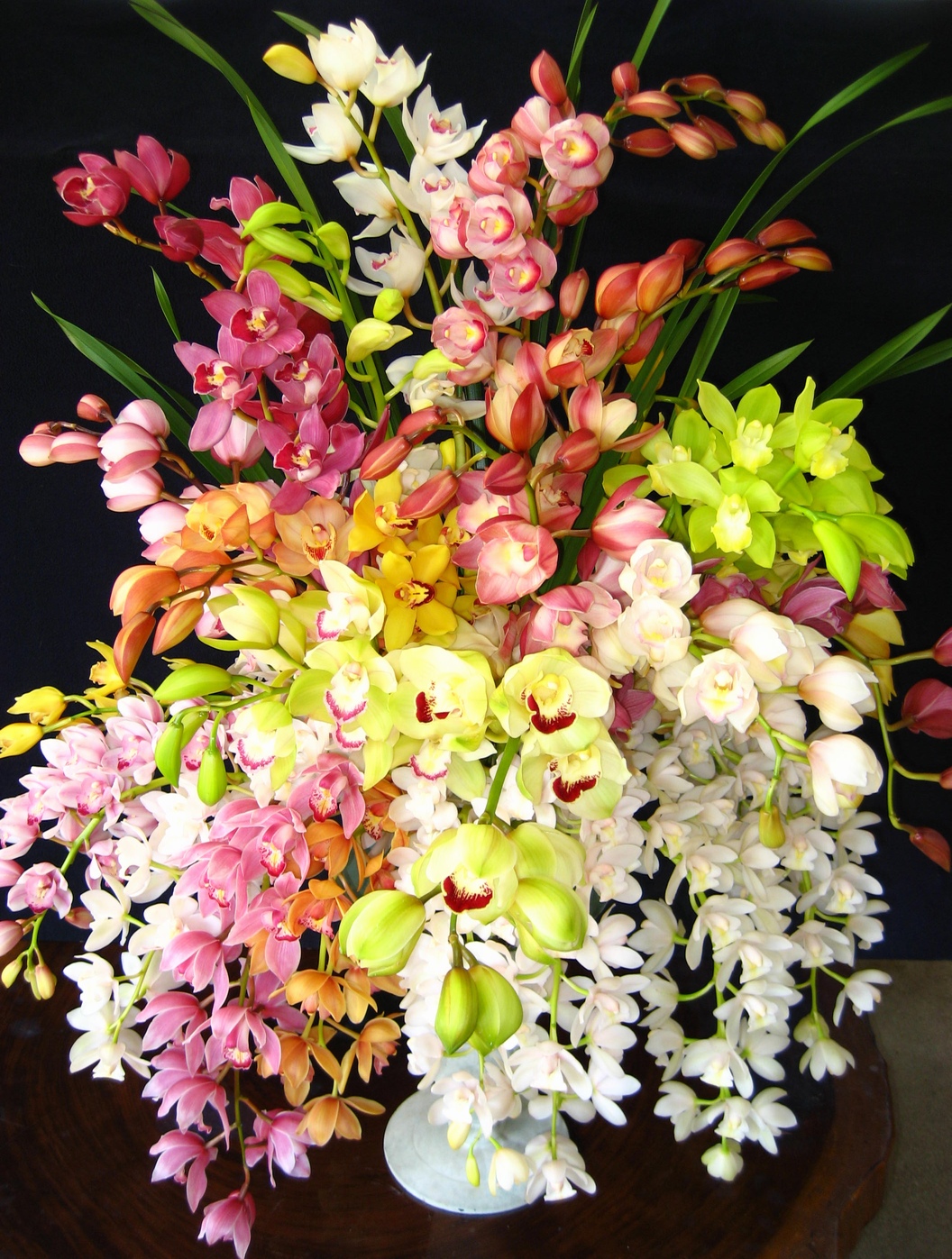 もっと長持ち シンビジュームの花を楽しむ方法をご紹介 Hanazukin 花ずきん 農家直送の花苗 シンビジュームの花束