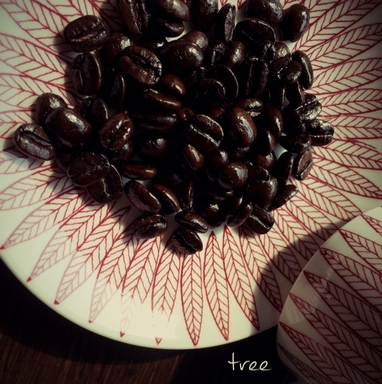 【モノギフト】modern coffee×tree『tree』～ワインのようなコーヒー～