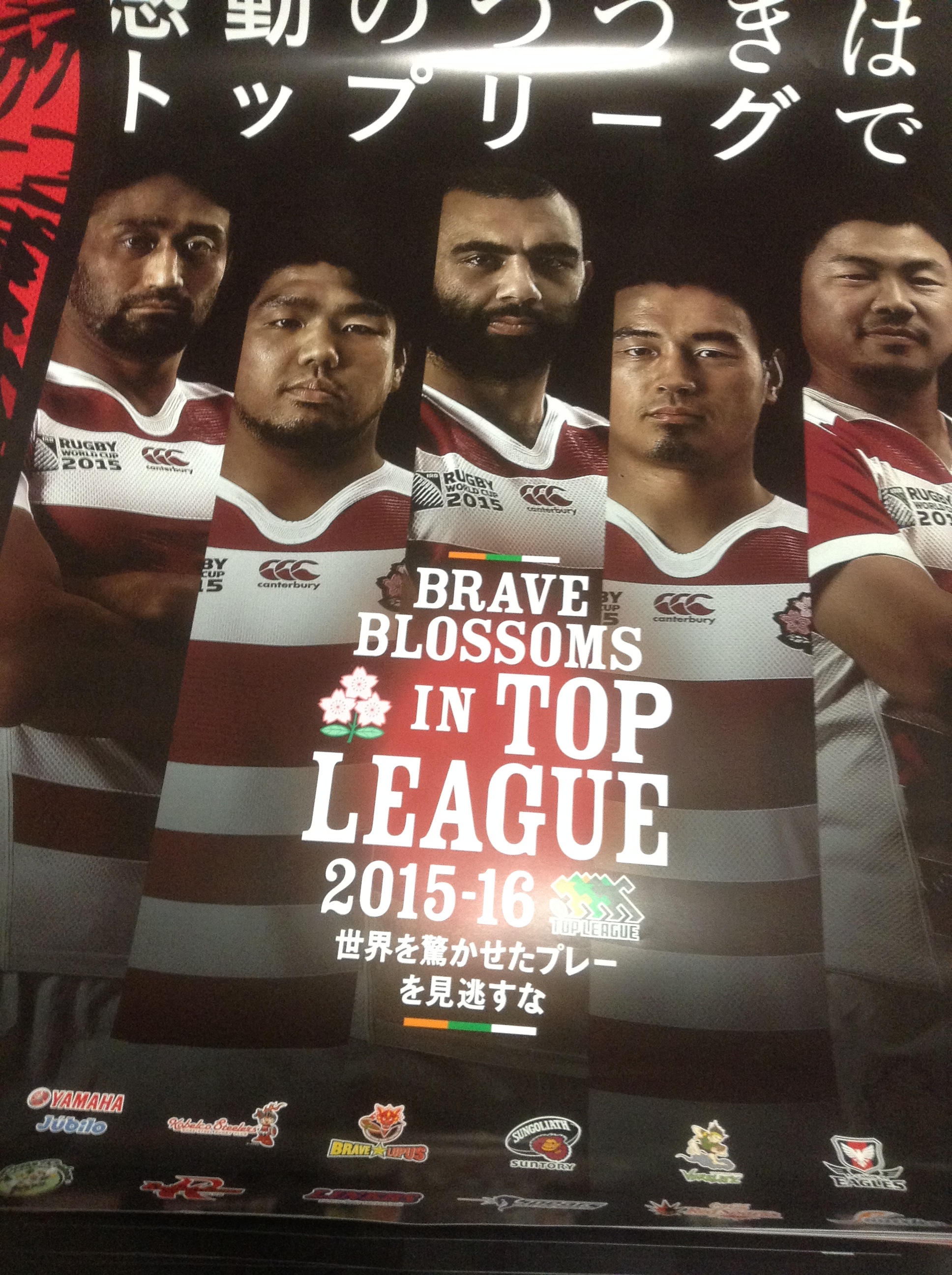 ラグビーポスターが入荷しました