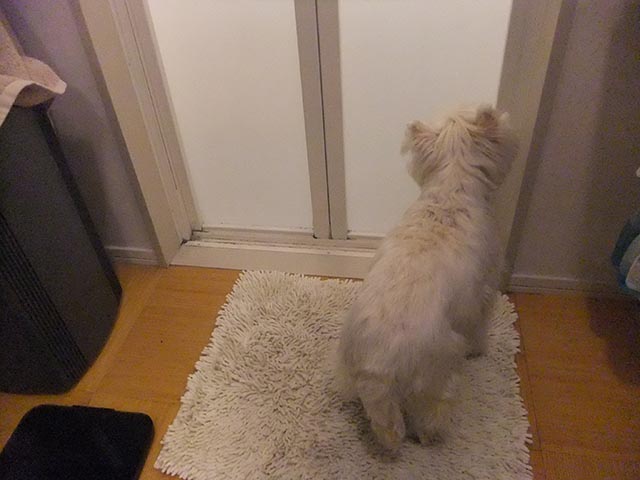 お風呂は好き？