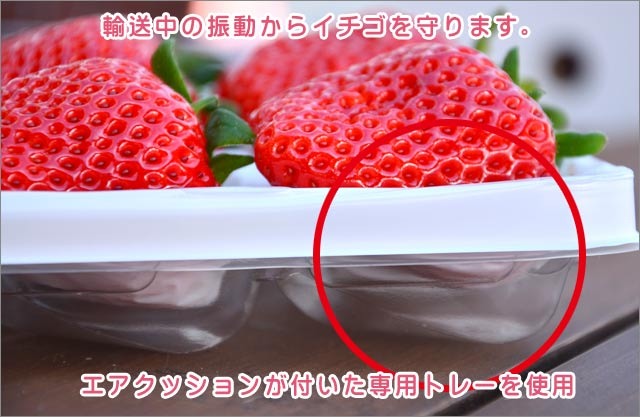 今日のブログは苺の輸送に関してのお話(^o^)