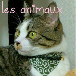 les animaux(レザニモ)