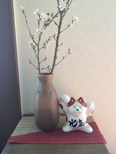 桜と元気猫