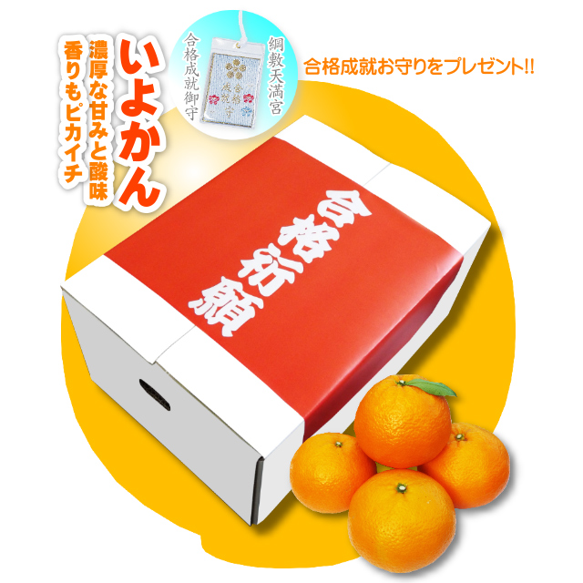 受験生専用 !! 「合格みかん」サイト！ 柑橘の本場四国・愛媛からお届け！