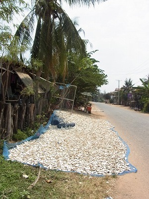 Silk Villege in Cambodia　1