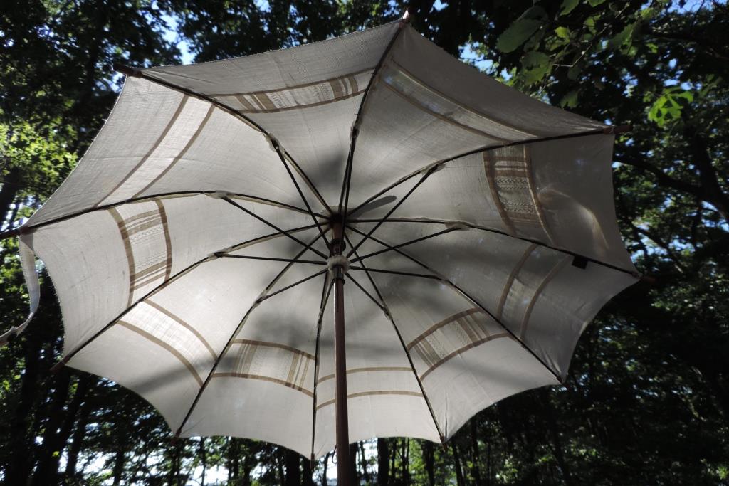 長い山桜の手元が立姿をより美しく見せてくれる日傘のご紹介