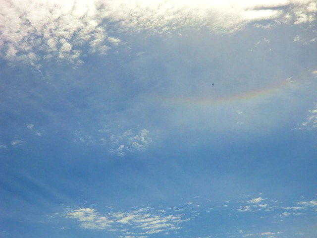 虹の祝福♡
