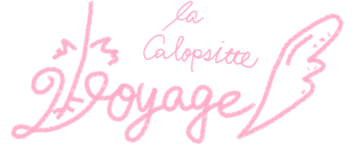 Voyage la Calopsitte