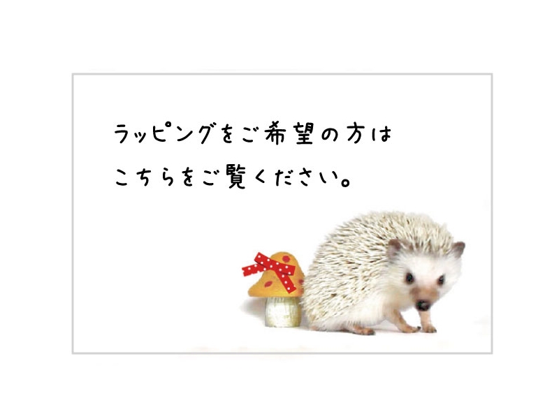 ハリネズミのポーチ チョコレート / Hedgehog Pouch (Chocolate 